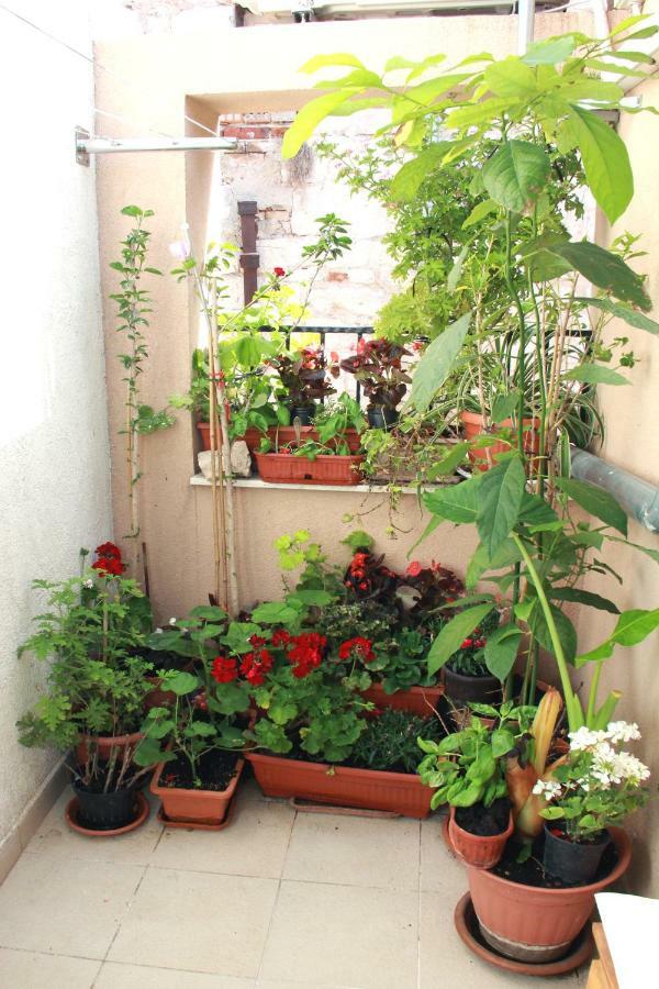 Apartment Bucevic Šibenik Extérieur photo